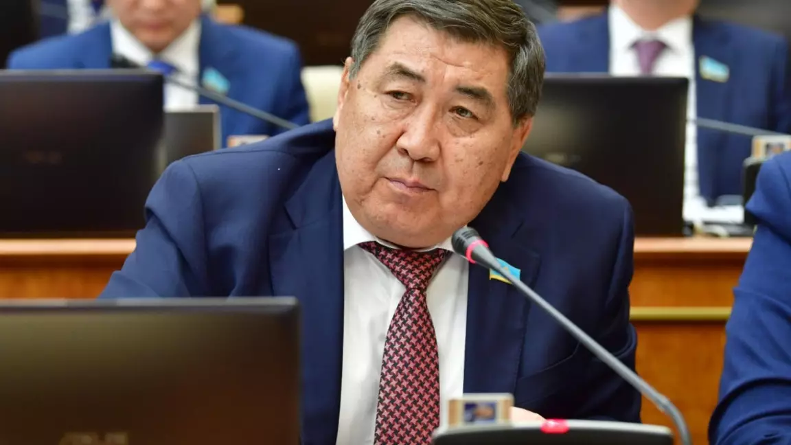 Мен биліктің насихатшысы емеспін — Ермұрат Бәпи