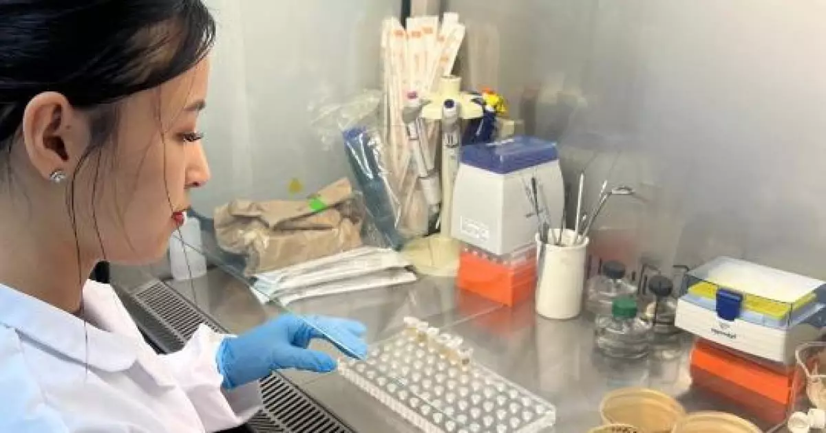   Қазақстандық ғалымдар диабеттің алдын алуға арналған дәрумен әзірлеп жатыр   