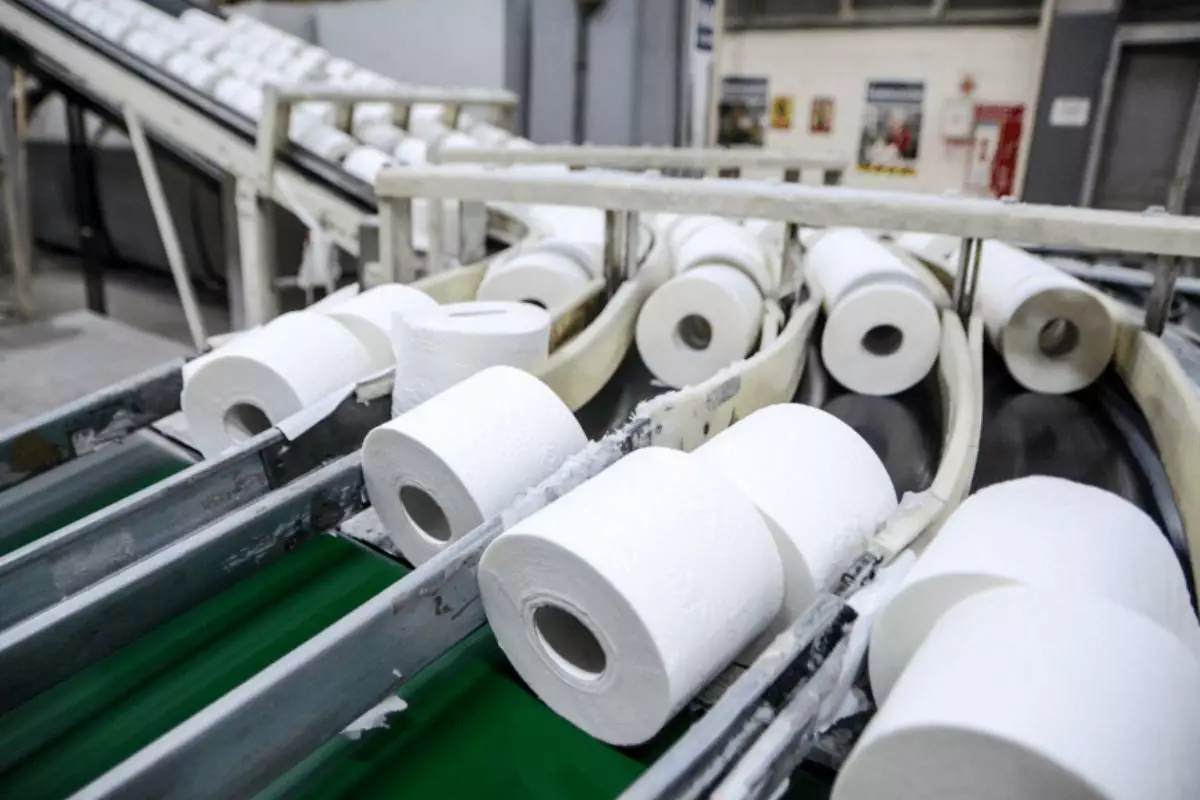 «Бумажный» парадокс: почему в Казахстане не хватает туалетной бумаги?