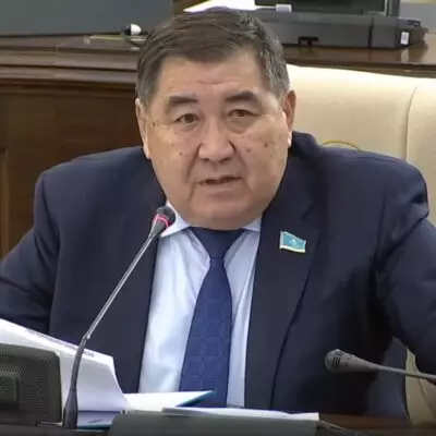 Депутат Ермурат Бапи призвал поддержать проект новой Конституции на референдуме