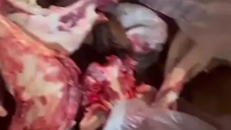 "Етті базарда сатқан": Астанада санитарлық талаптарға сай емес жасырын ет цехы анықталды