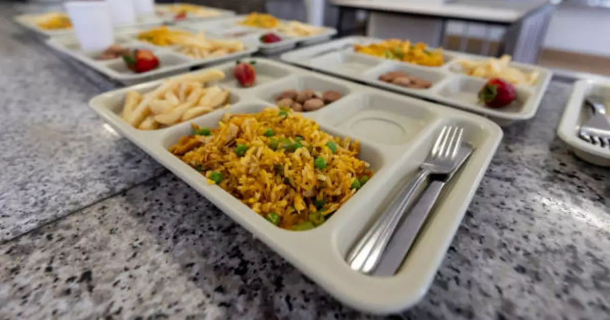  11 млн теңге: Жамбылда мектеп асханаларын жалға алған кәсіпкер коммуналдық төлем төлемеген 