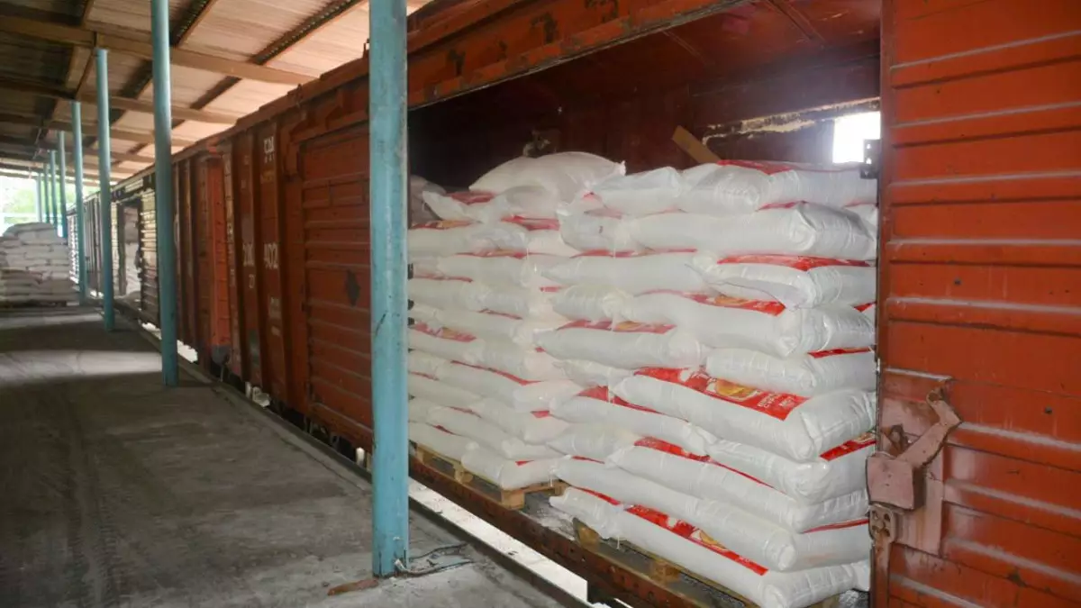 МИД прокомментировал сообщения об отправке военных в Сектор Газа