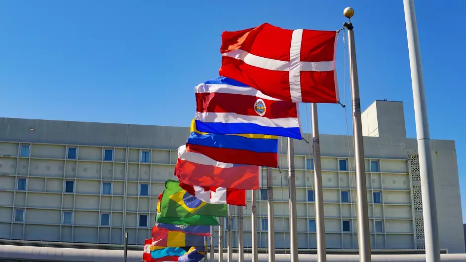 БҰҰ Таяу Шығыстағы текетірес туралы не дейді 