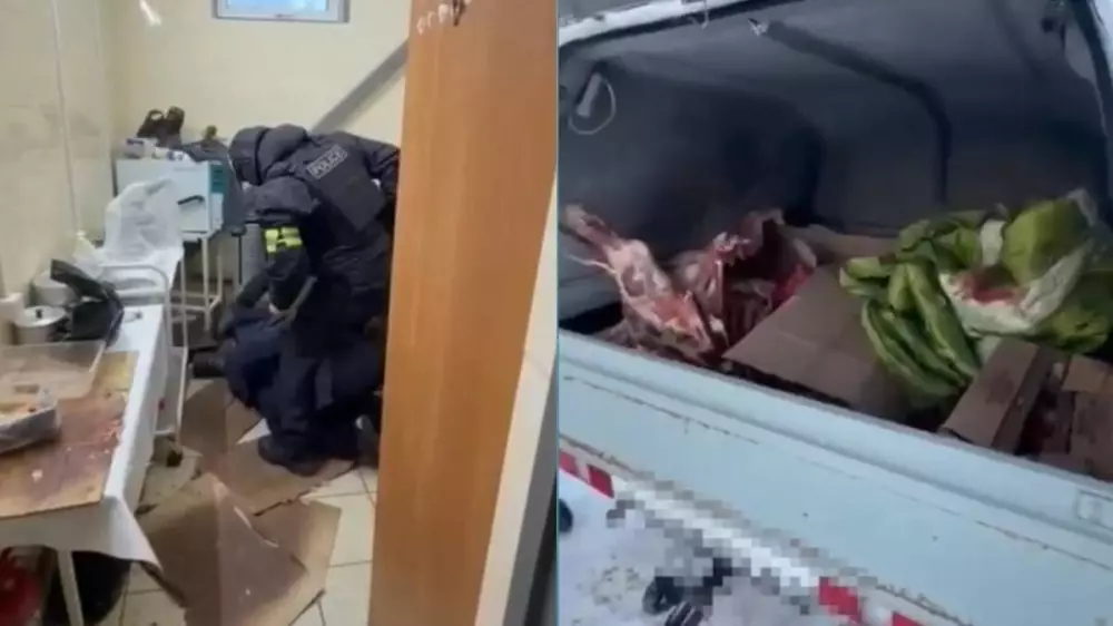 Казахстанец расплатился за авто крадеными лошадьми