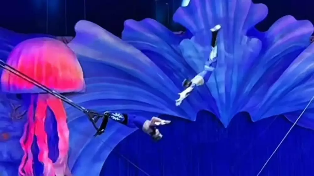 “Хочу блинчики со сгущёнкой“: воздушные гимнасты прославились из-за необычного видео