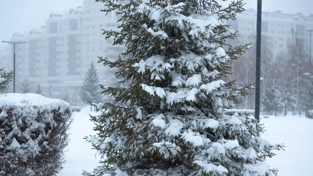 5 наурызда ауа райы қандай болатыны белгілі болды