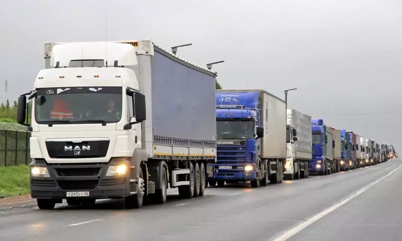 Фуры с овощами из Казахстана пропускали за деньги: чиновников задержали в России