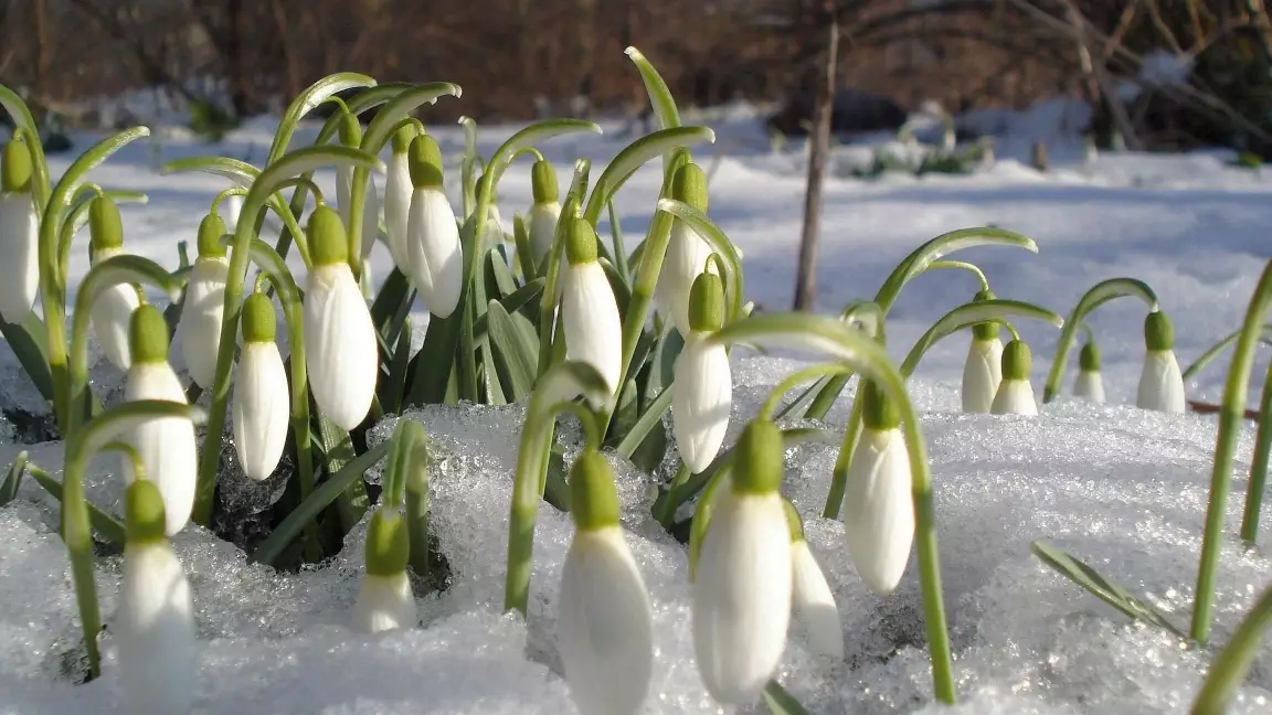5 наурызда ауа райы қандай болады?