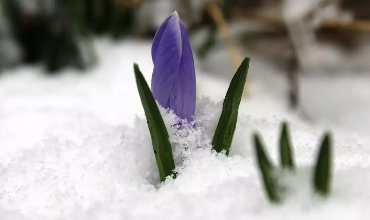 Бүгін еліміздің 16 облысында дауылды ескерту жарияланды