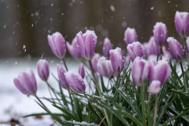 Бүгін 17 өңірде дауылды ескерту жарияланды