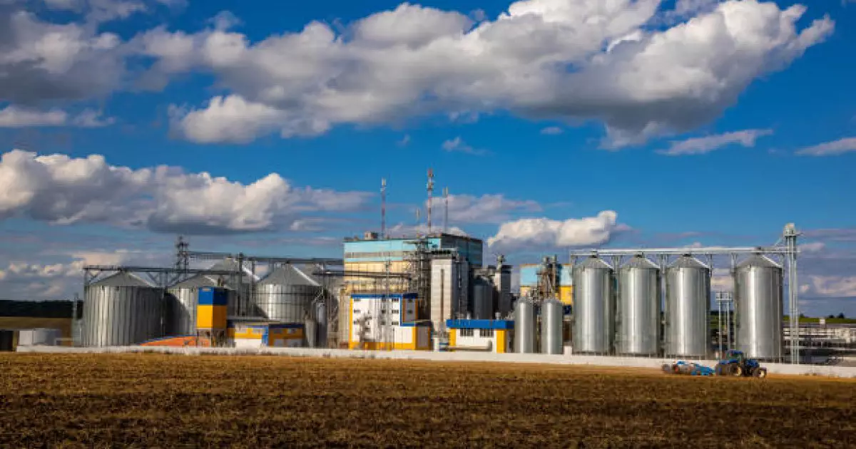  Ақмола облысында майлы дақылдарды терең өңдеу кешені салынып жатыр 