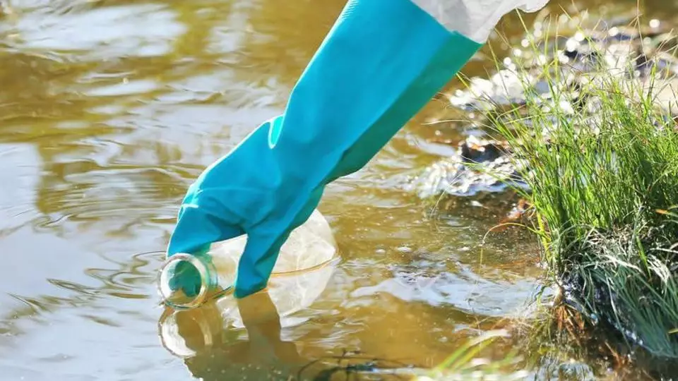 Түркістандағы "Фуд-Мастер": Нормадан бірнеше есе жоғары ластаушы зат анықталды