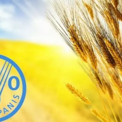 Стабильный рост АПК Казахстана отмечают международные эксперты