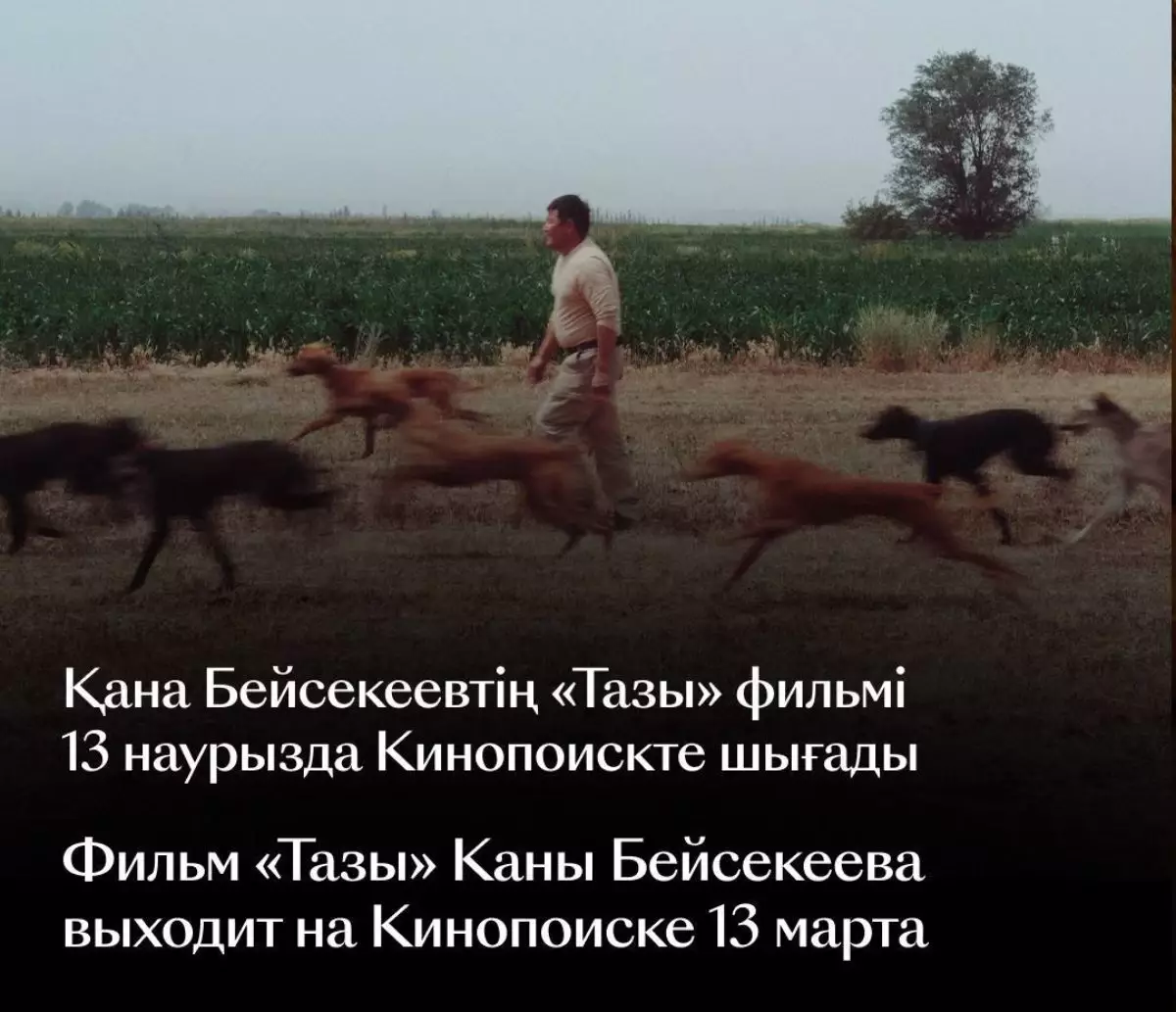13 наурызда Кинопоискте режиссер Қана Бейсекеевтің көптен күткен "Тазы" деректі фильмі жарық көреді