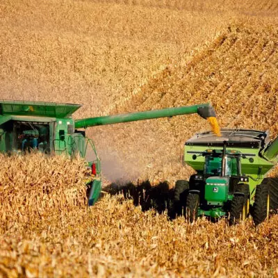 Казахстан и ФАО усиливают сотрудничество в агросекторе