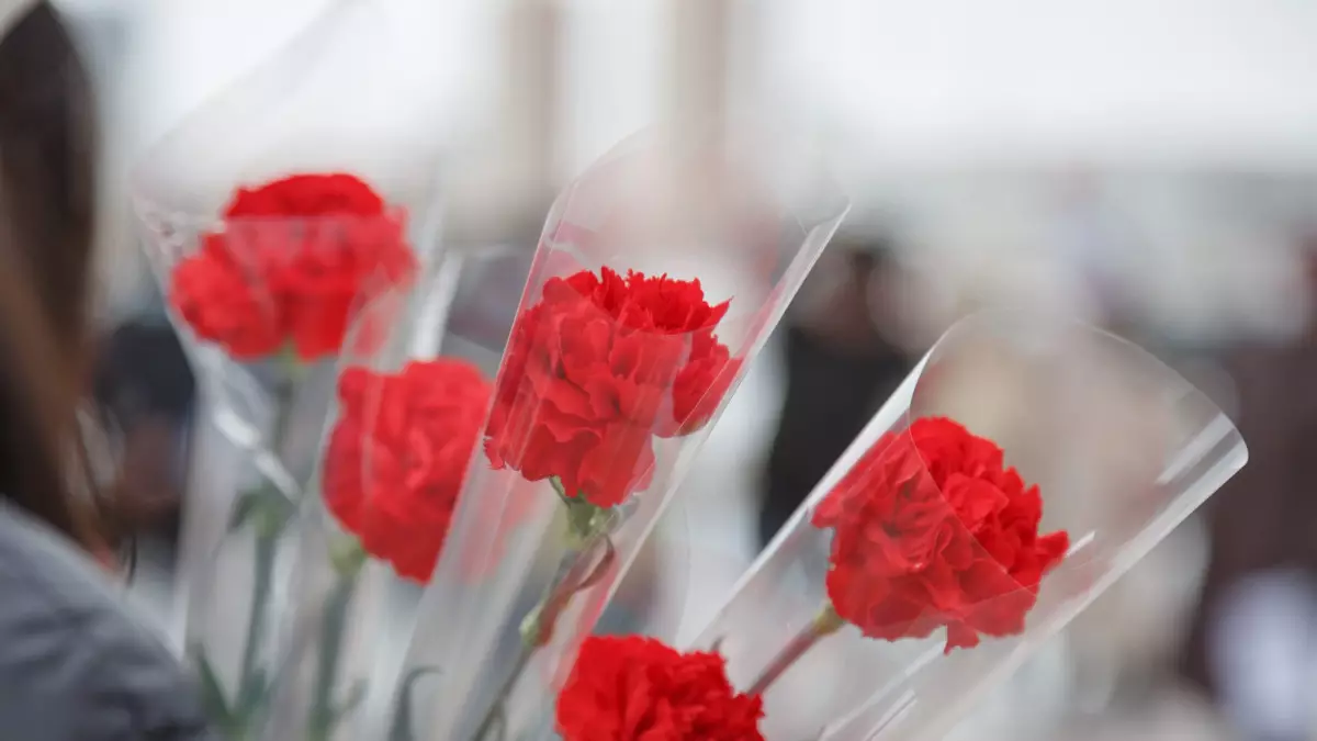 Тегін гүл, көшедегі әшекейлі айна: Астана 8 наурызды қалай атап өтеді?