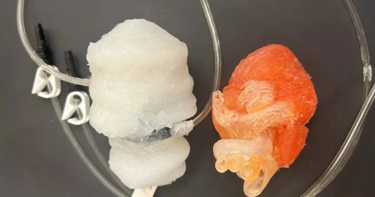  `Тірі адамдікіндей соғады`: ғалымдар жүректі 3D принтермен басып шығарды 