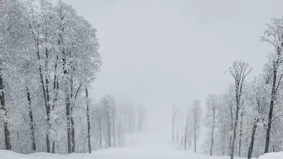 6 наурызда бірнеше өңірде ауа райына байланысты ескерту жасалды