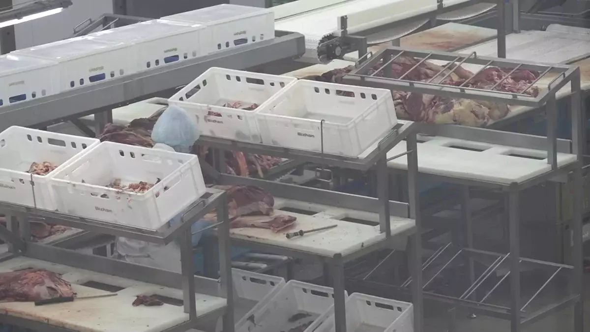 Қазақстан былтыр 7 млрд доллардың ауылшаруашылық өнімін экспорттаған