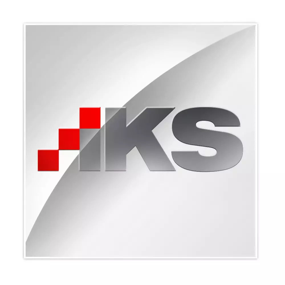 Год ИИ и цифровые парки Казахстана