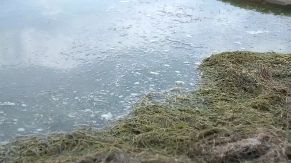 С возможными паводками в Казахстане будет бороться специальная группа МЧС