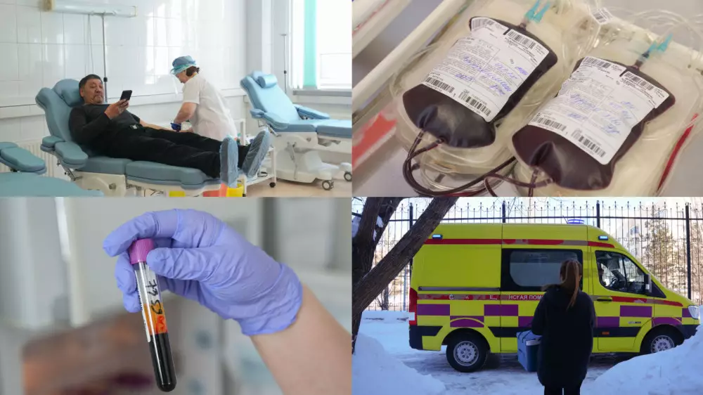 Как кровь “отдыхает“, меняет цвет и проходит карантин: путь от донора до пациента