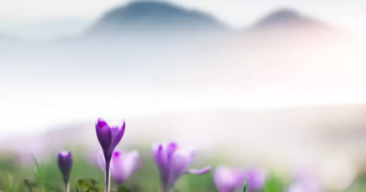   Өңірлерде бүгін боран, көктайғақ және тұман болуы мүмкін   