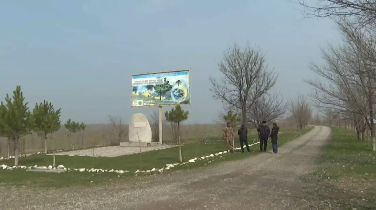 Орман қоры  976 гектарға ұлғайды