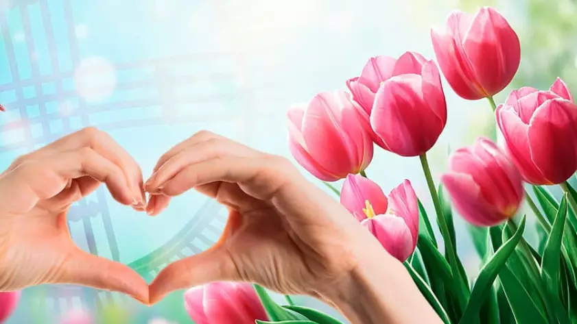 Қазақстанда қай мамандықты әйелдер көп таңдаған? – Жаңа деректер