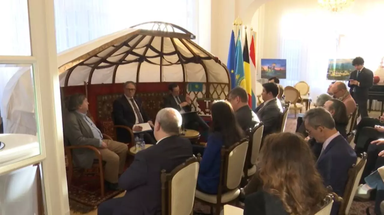 Проект новой Конституции обсудили в Бельгии