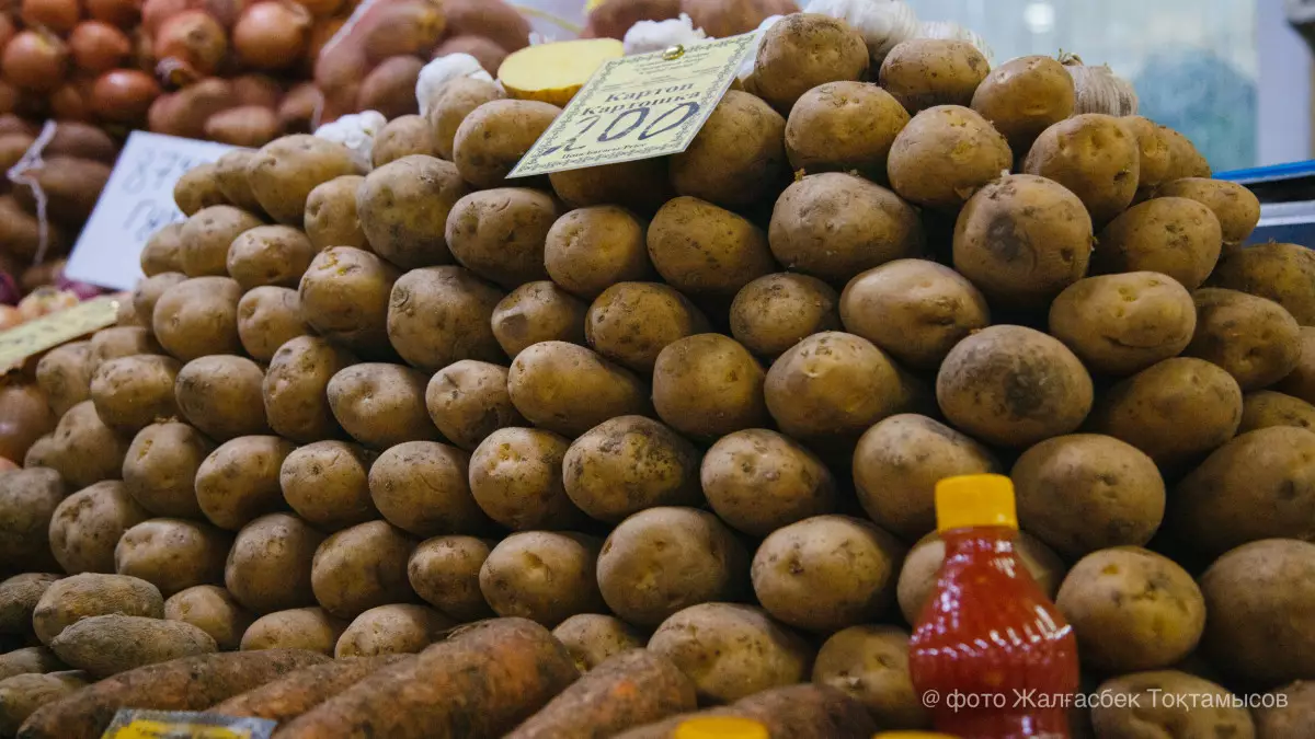 Правительство Казахстана решило не вводить запрет на экспорт картофеля