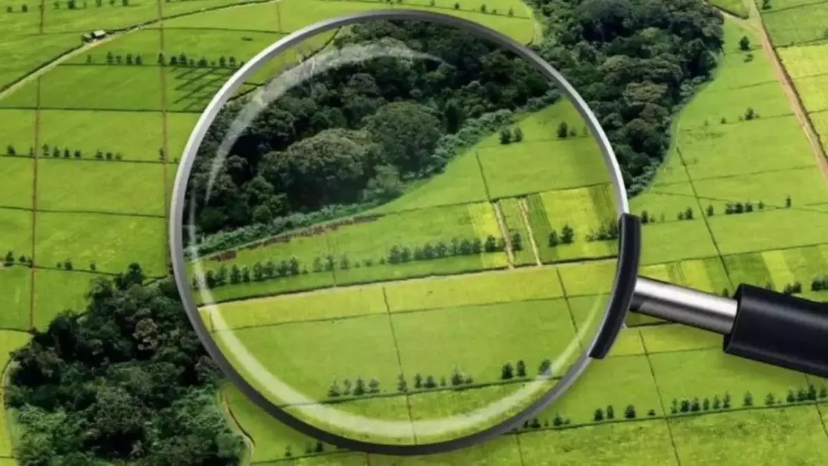 Алматы облысында 150 мың гектар жер мемлекет меншігіне қайтарылды