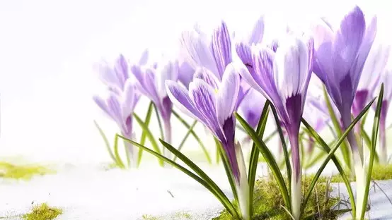 -25°С аяз: Мереке күндері Қазақстанда ауа райы қандай болады?