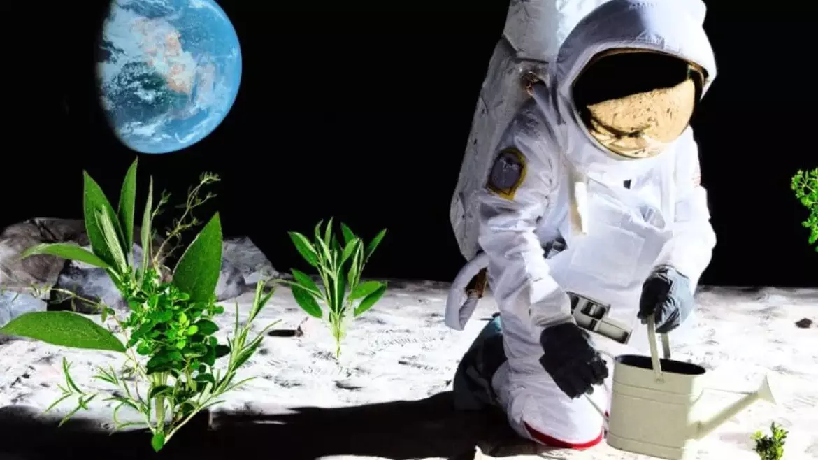 Ғалымдардың күтпеген жаңалығы: айға егін салу басталды