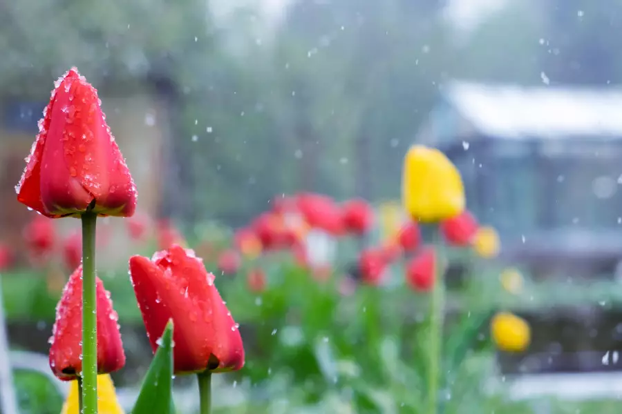 -25 градусқа дейін аяз: мереке күндері ауа райы қандай болады?