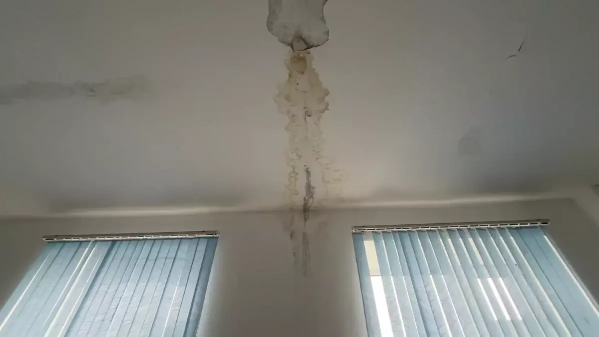 Жамбыл облысында ауыл балалары тозған мектепте білім алуға мәжбүр