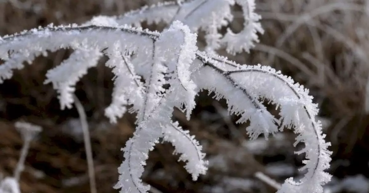  Ертеңнен бастьап -25 градусқа дейін аяз болады 