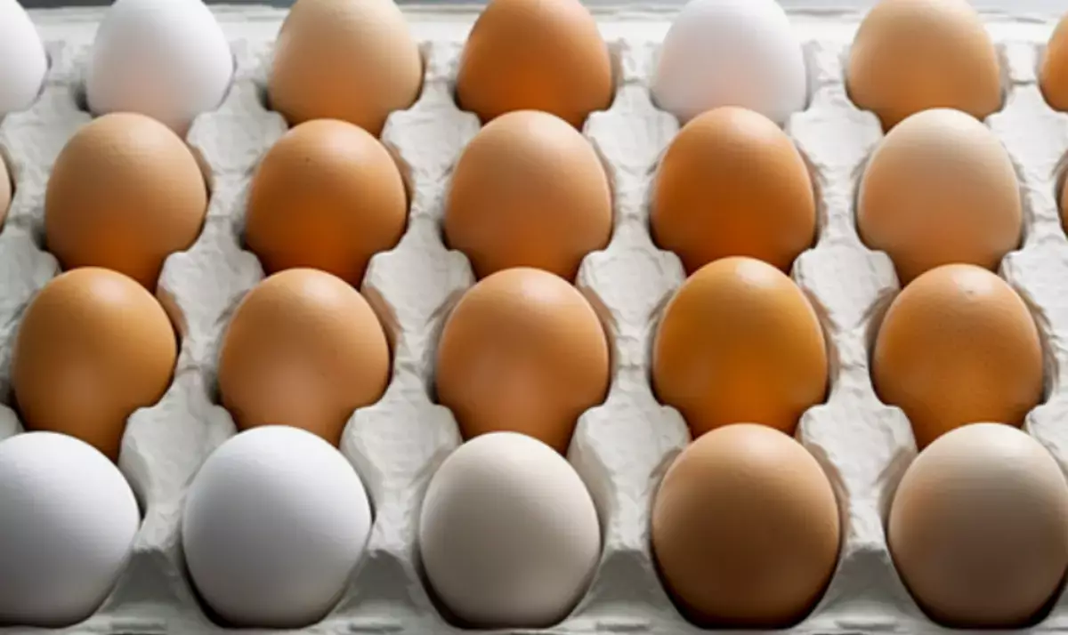 В Казахстане определились с правилами экспорта говядины и импорта яиц - новости на Lada.kz 06.03.2026