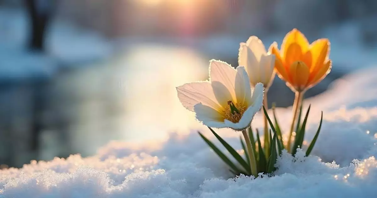  Наурызда қазақстандықтар қанша күн демалады 