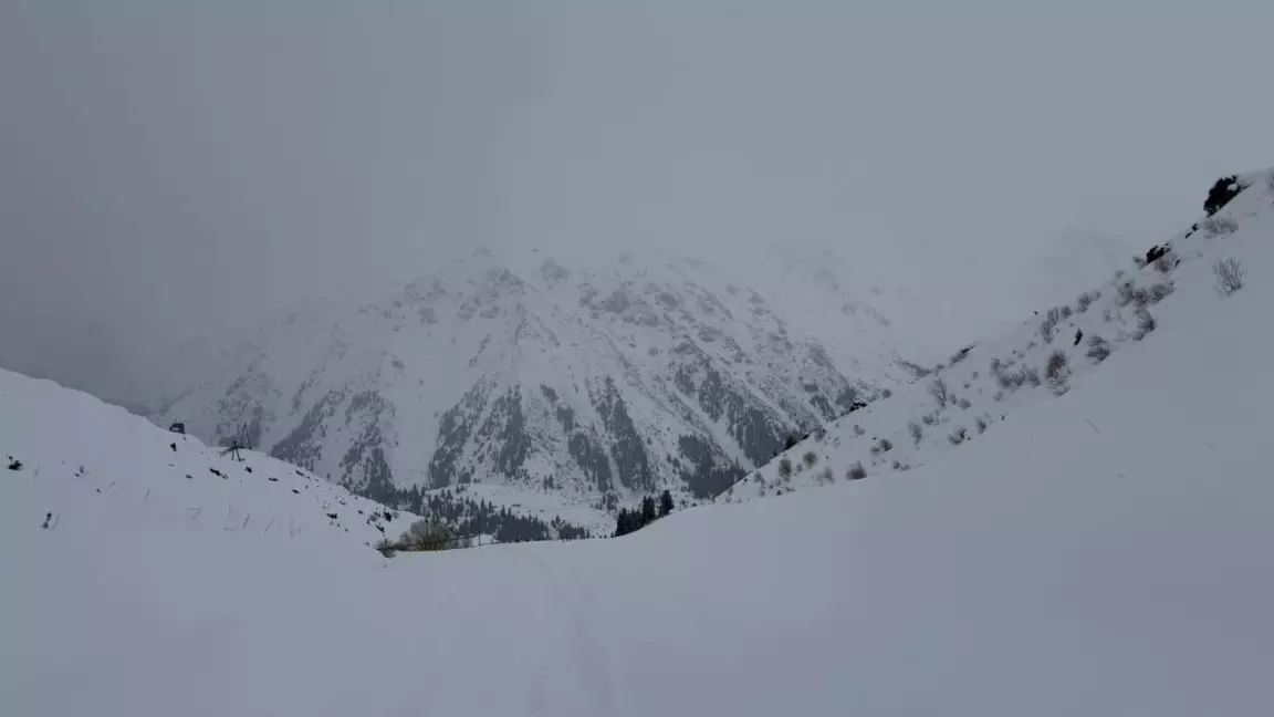 Таулы аймақтарда қар көшкіні қаупі күшейді