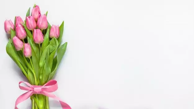 Елімізде қанша нәзік жанды бар?