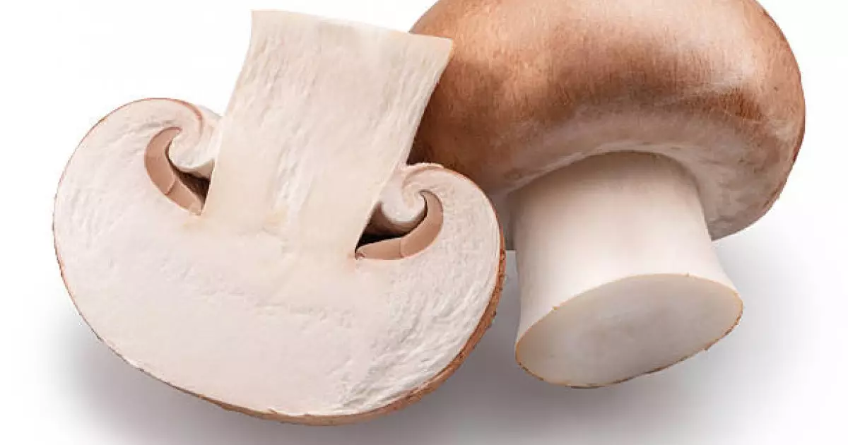  Саңырауқұлақтың пайдасы біз ойлағаннан әлдеқайда көп екені анықталды 