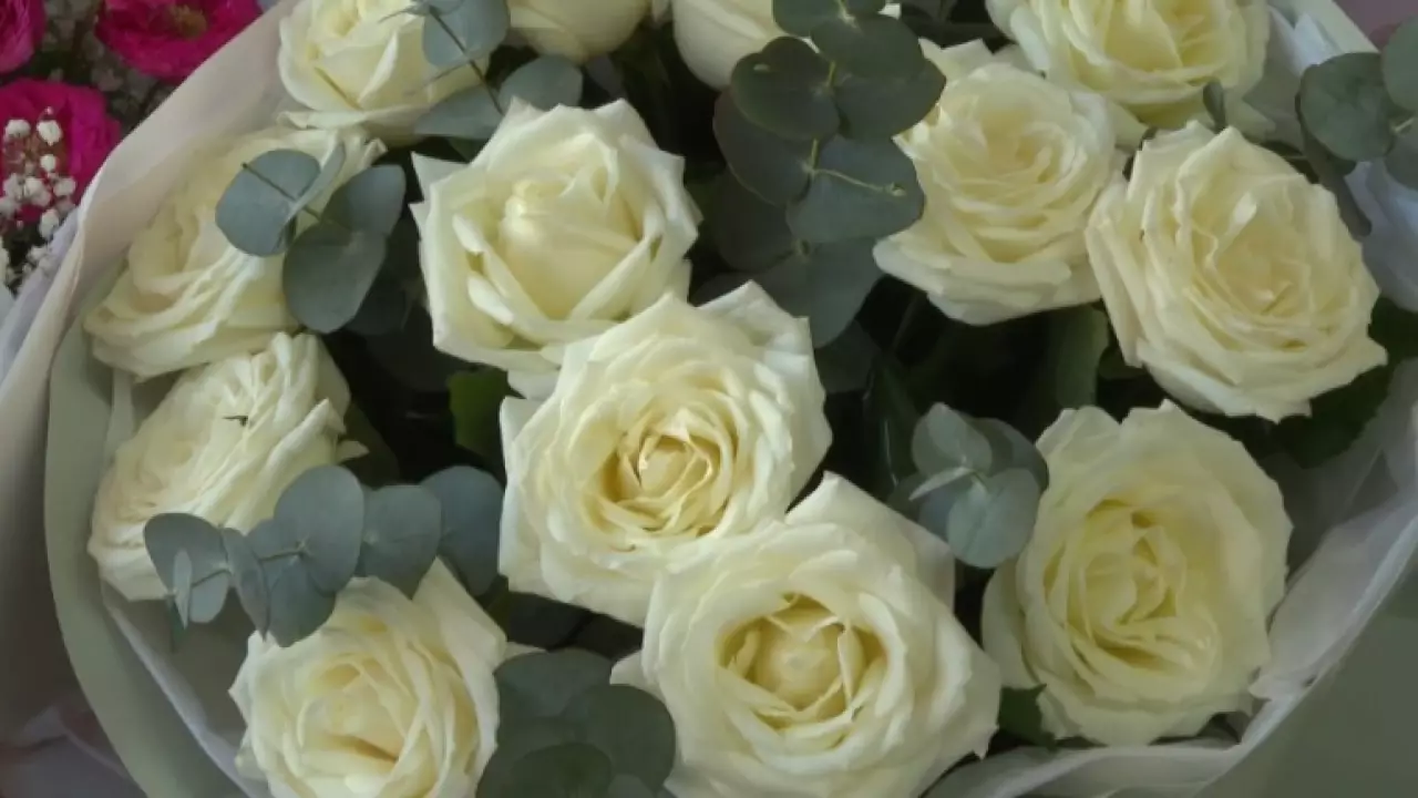 Почти миллион цветов вырастили к 8 Марта в теплицах Степногорска