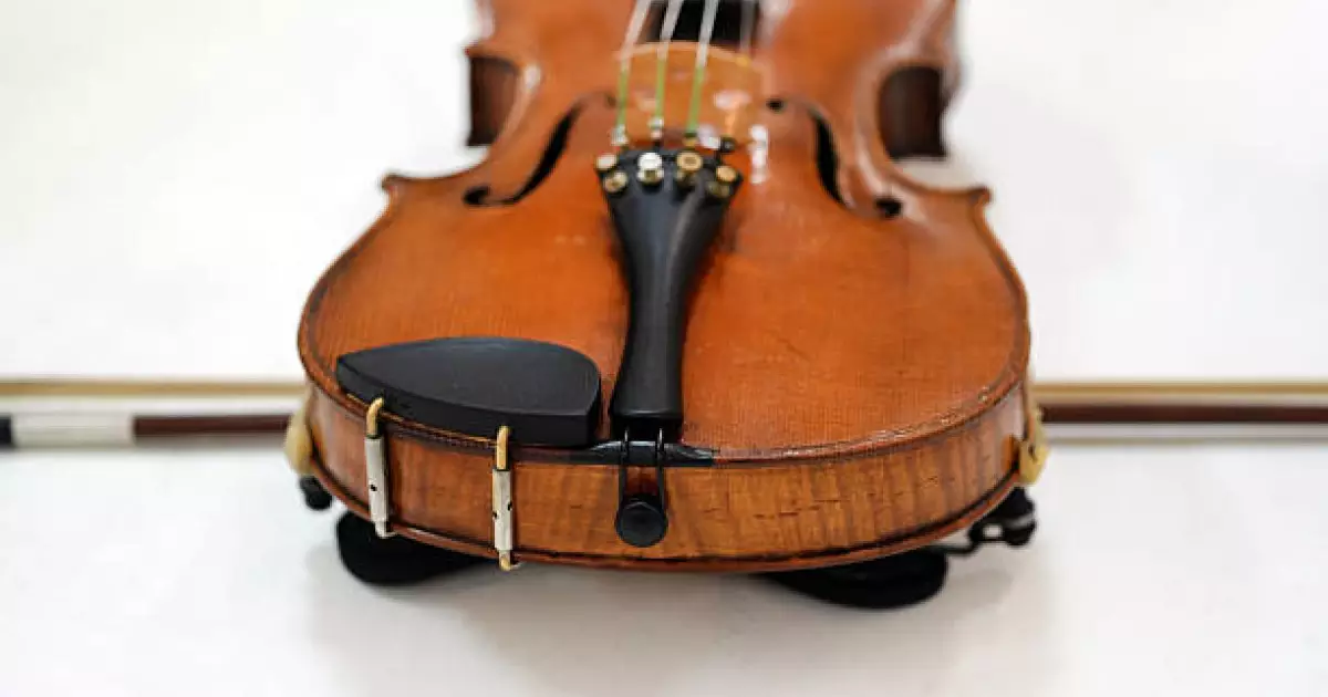  Әйгілі италиялық шебер Страдивари атақты скрипкаларын қандай ағаштан жасағаны белгілі болды 