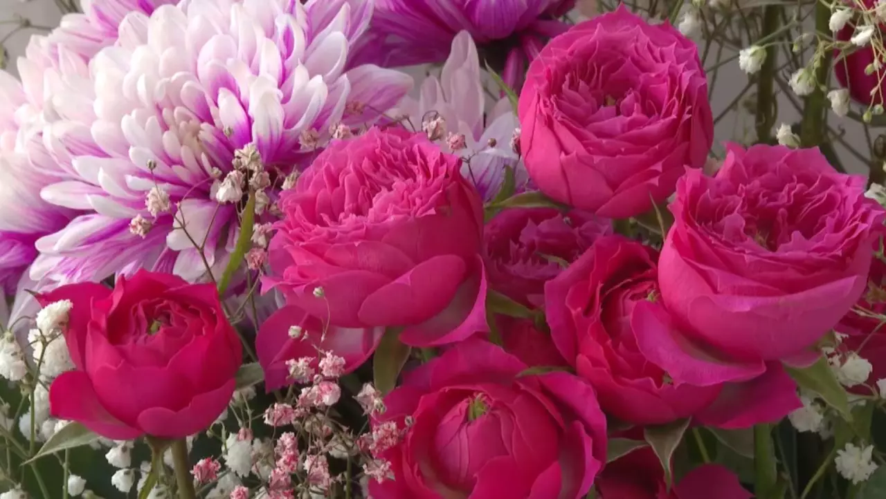 Көкшетауда әйелдер мерекесі қарсаңында үш миллион дана гүл сатылады