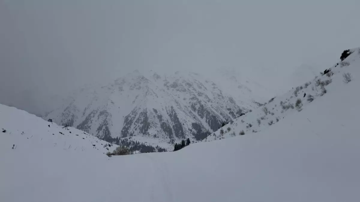 Снежный покров в горах достигает критической отметки — МЧС РК