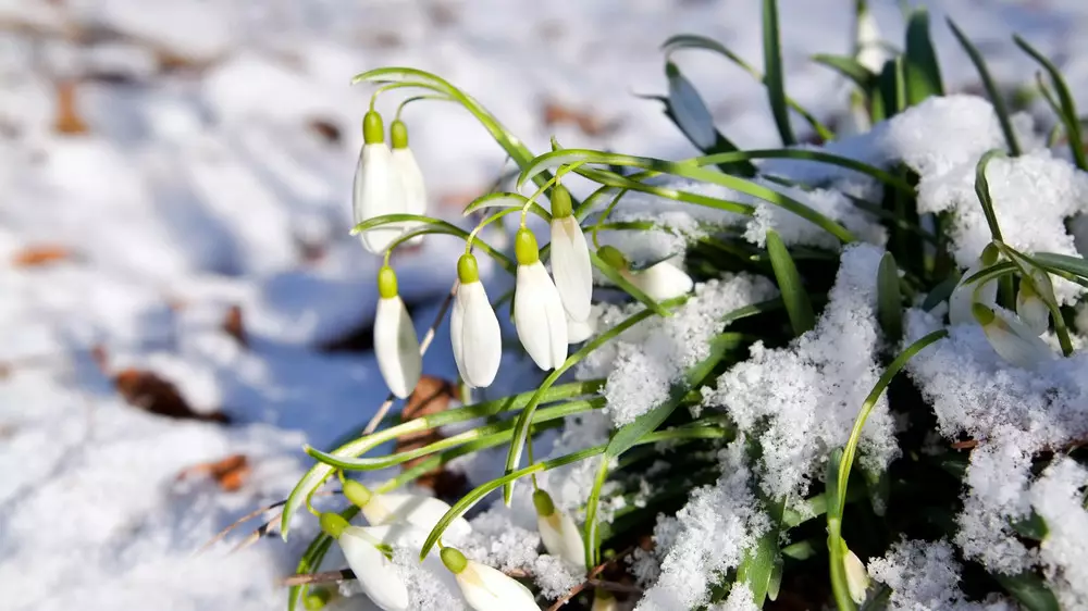 Какая погода ждёт Казахстан в субботу, 7 марта: прогноз синоптиков