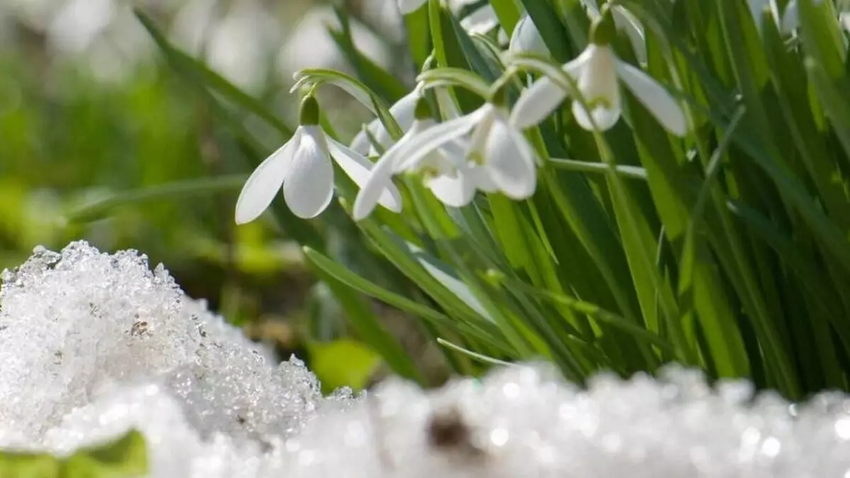 Нөсер жауын, аяз, жел: Ел аумағында күн әлі жылына қоймайды