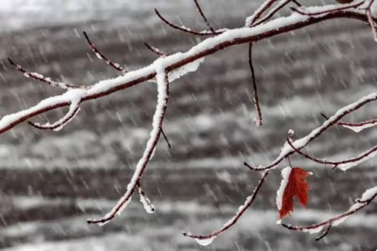 Снег и дождь прогнозируют в Казахстане